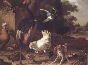 Melchior de Hondecoeter Birds and a Spaniel in a Garden (mk25) oil painting